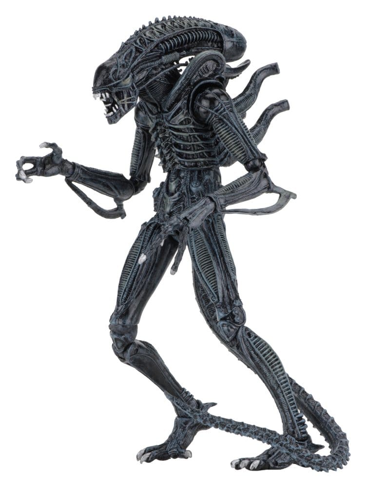 Aliens Ultimate figurine Warrior (1986) Blue 23 cm