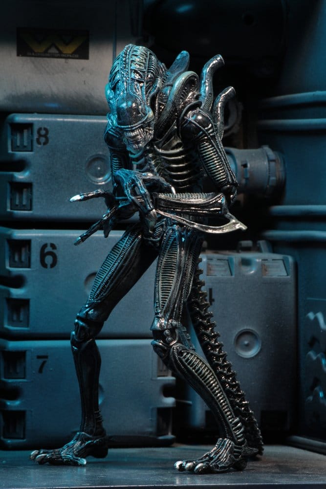 Aliens Ultimate figurine Warrior (1986) Blue 23 cm