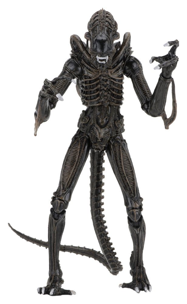 Aliens Ultimate figurine Warrior (1986) Brown 23 cm