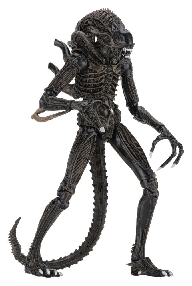 Aliens Ultimate figurine Warrior (1986) Brown 23 cm