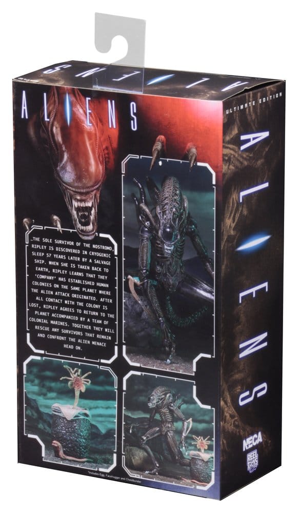 Aliens Ultimate figurine Warrior (1986) Brown 23 cm