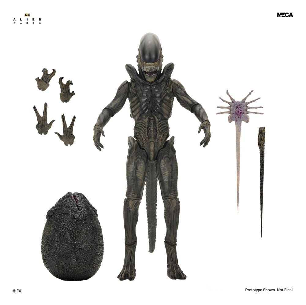 Alien: Earth Ultimate figurine Xenomorph 18 cm