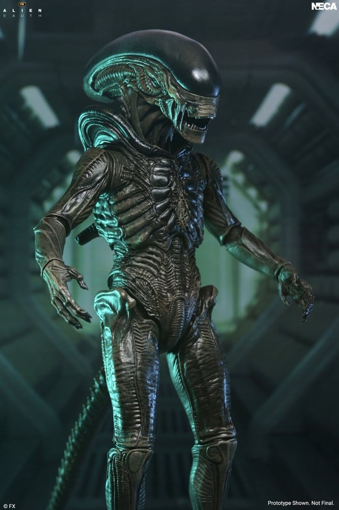 Alien: Earth Ultimate figurine Xenomorph 18 cm