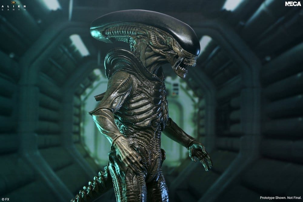 Alien: Earth Ultimate figurine Xenomorph 18 cm