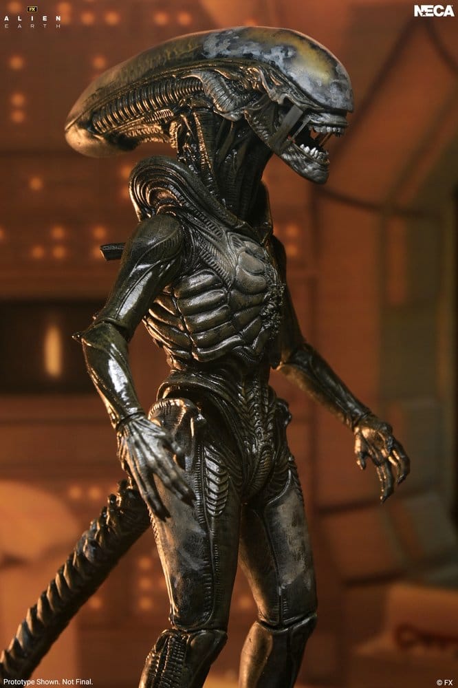 Alien: Earth Ultimate figurine Wendy's Xenomorph 18 cm