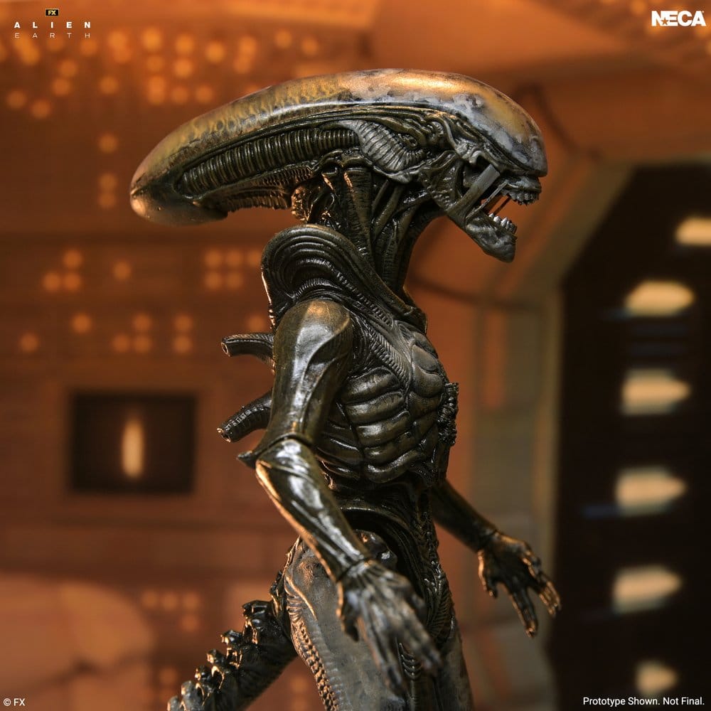 Alien: Earth Ultimate figurine Wendy's Xenomorph 18 cm