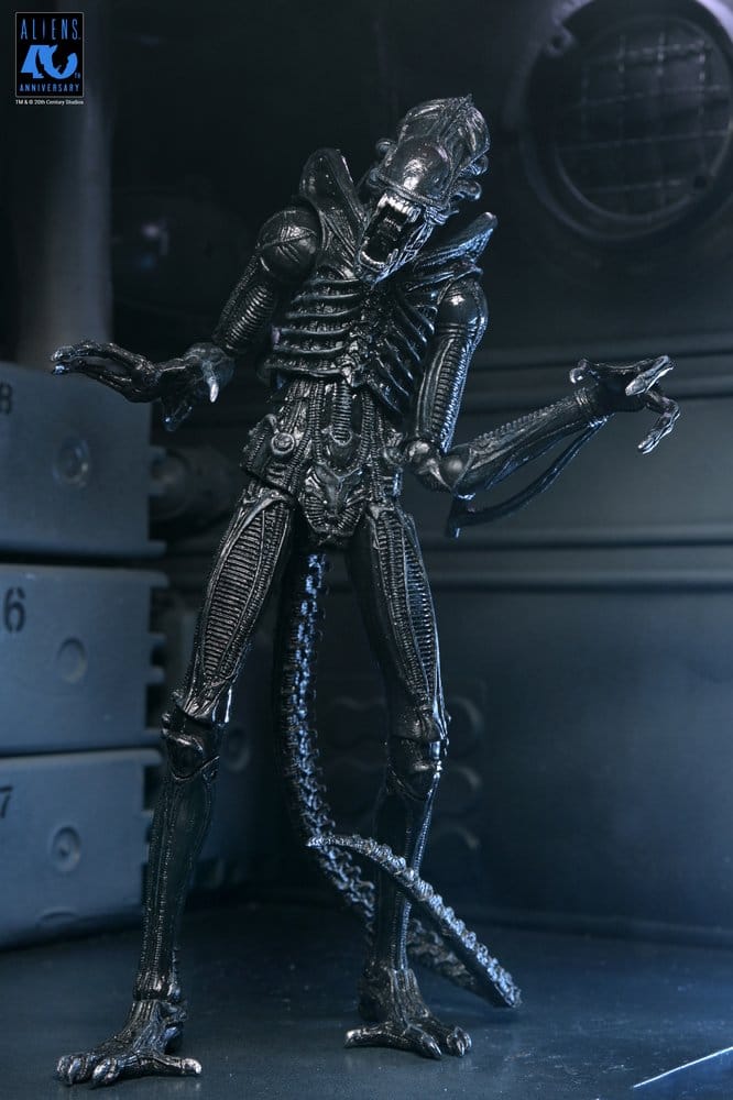 Aliens Ultimate figurine Warrior (1986) Xenomorph Black (40th Anniversary) 23 cm