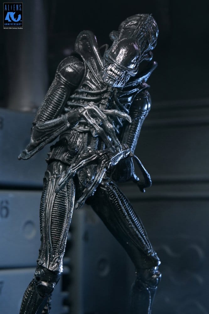 Aliens Ultimate figurine Warrior (1986) Xenomorph Black (40th Anniversary) 23 cm