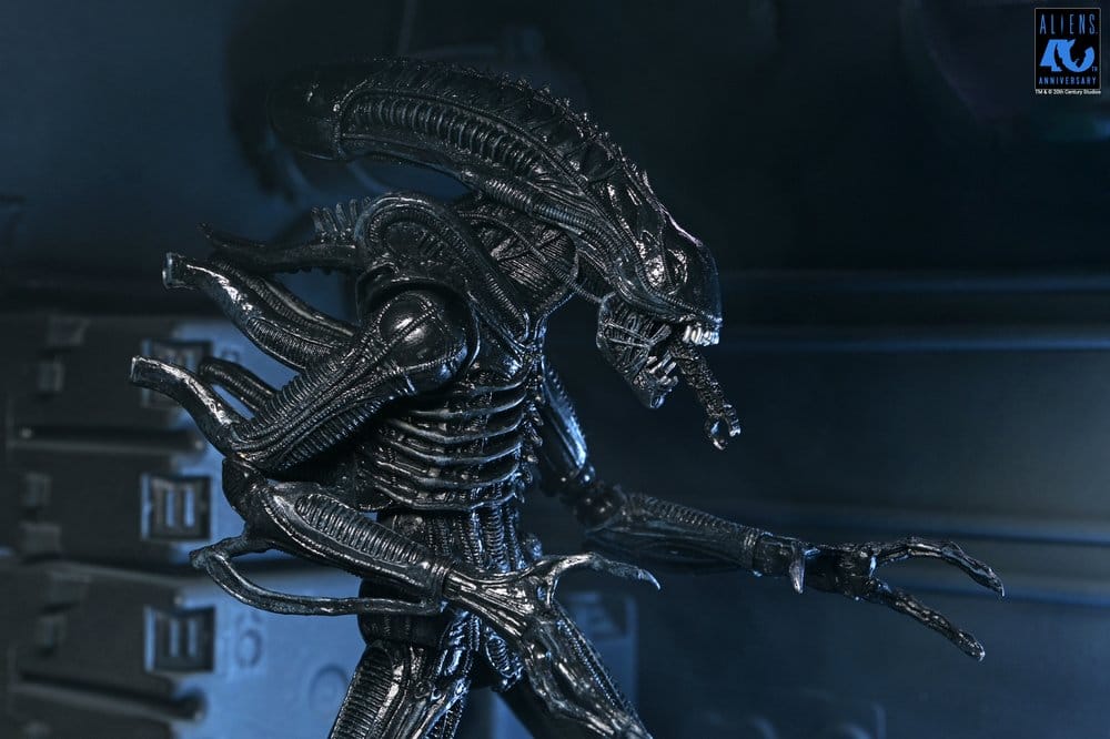 Aliens Ultimate figurine Warrior (1986) Xenomorph Black (40th Anniversary) 23 cm
