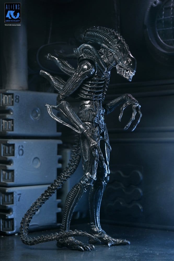 Aliens Ultimate figurine Warrior (1986) Xenomorph Black (40th Anniversary) 23 cm