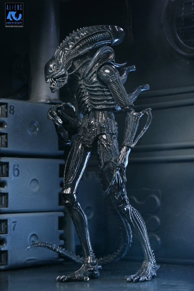 Aliens Ultimate figurine Warrior (1986) Xenomorph Black (40th Anniversary) 23 cm