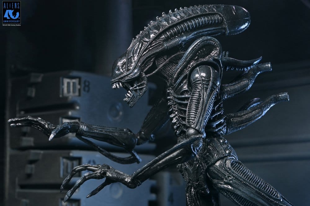 Aliens Ultimate figurine Warrior (1986) Xenomorph Black (40th Anniversary) 23 cm