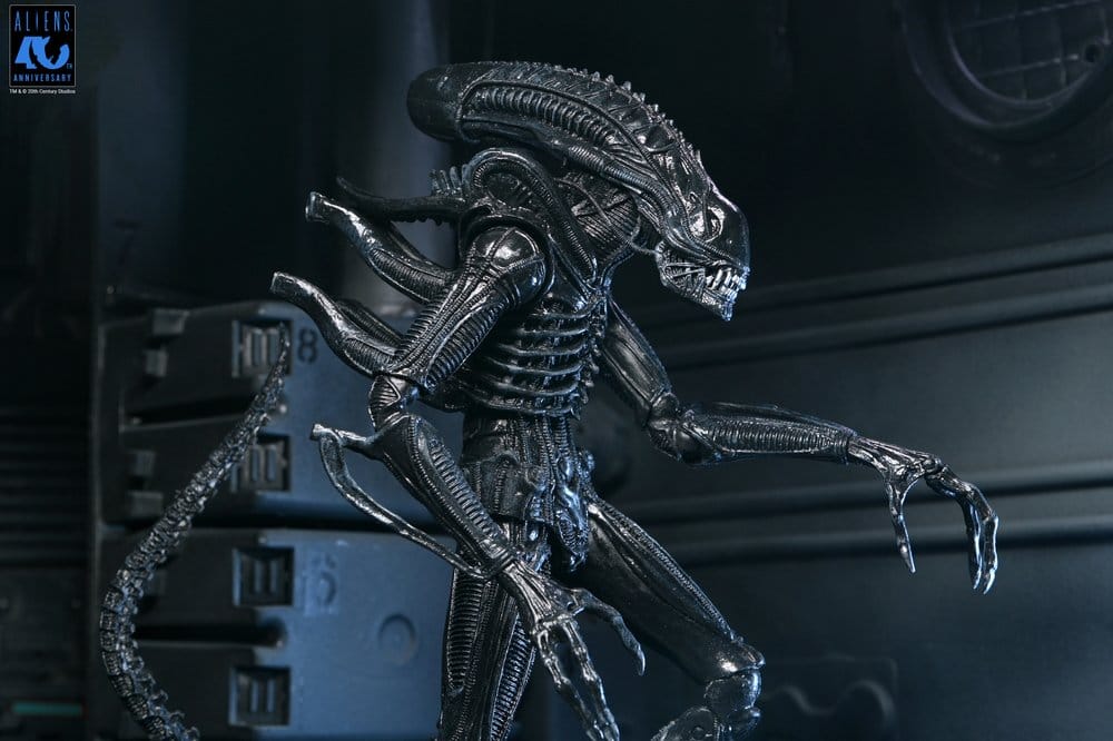 Aliens Ultimate figurine Warrior (1986) Xenomorph Black (40th Anniversary) 23 cm