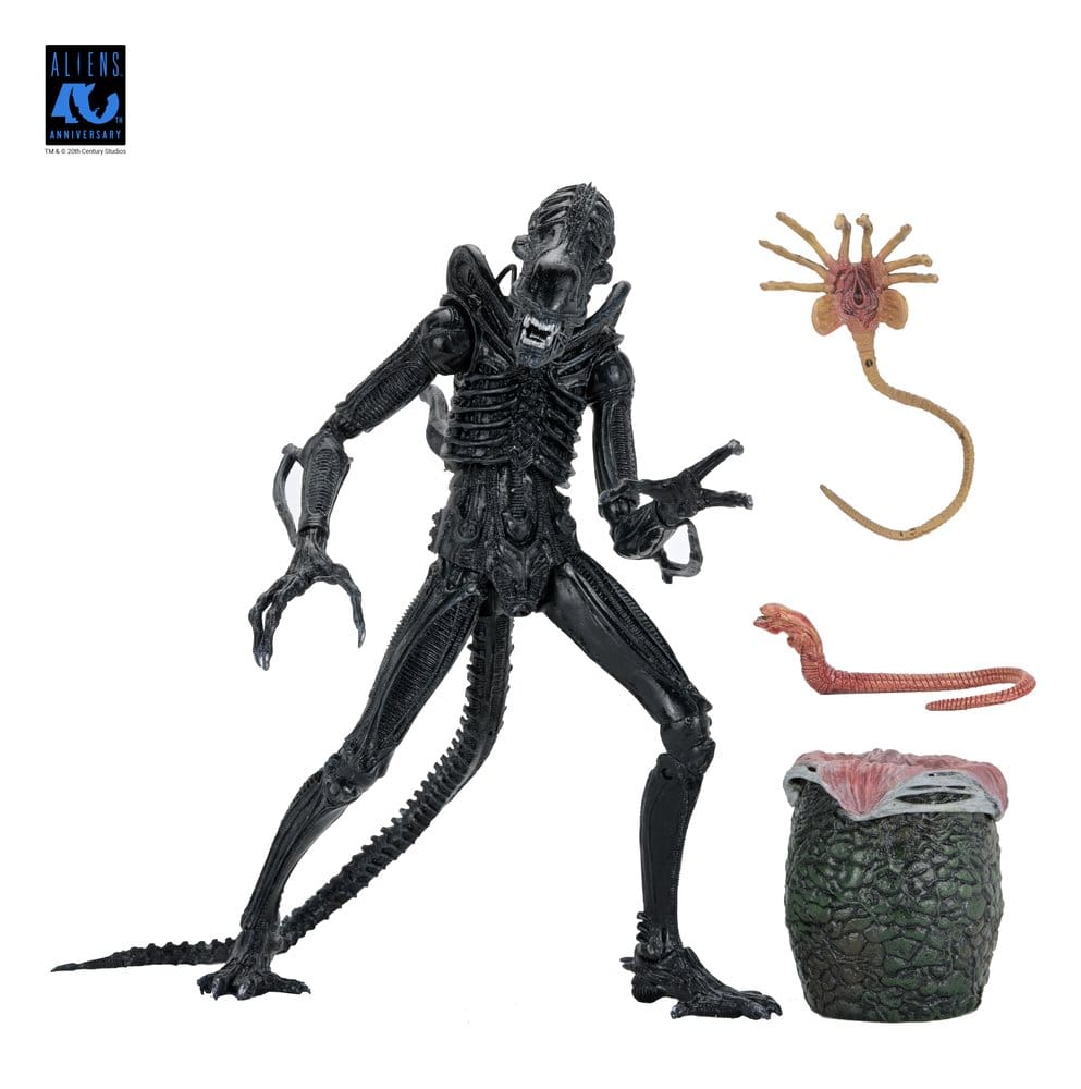 Aliens Ultimate figurine Warrior (1986) Xenomorph Black (40th Anniversary) 23 cm