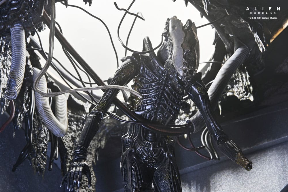 Alien: Romulus figurine Deluxe Suspended Lab Xenomorph XX121 18 cm
