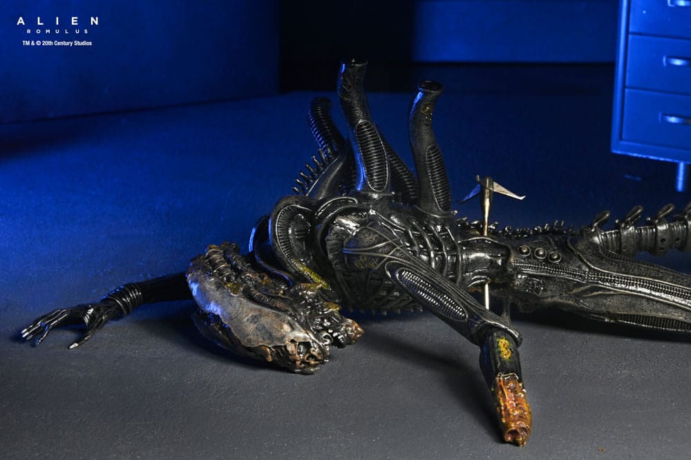 Alien: Romulus figurine Deluxe Suspended Lab Xenomorph XX121 18 cm