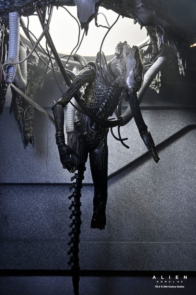 Alien: Romulus figurine Deluxe Suspended Lab Xenomorph XX121 18 cm