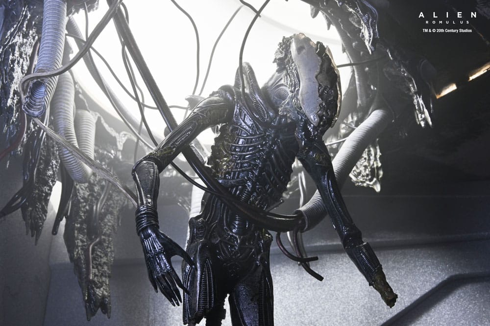 Alien: Romulus figurine Deluxe Suspended Lab Xenomorph XX121 18 cm