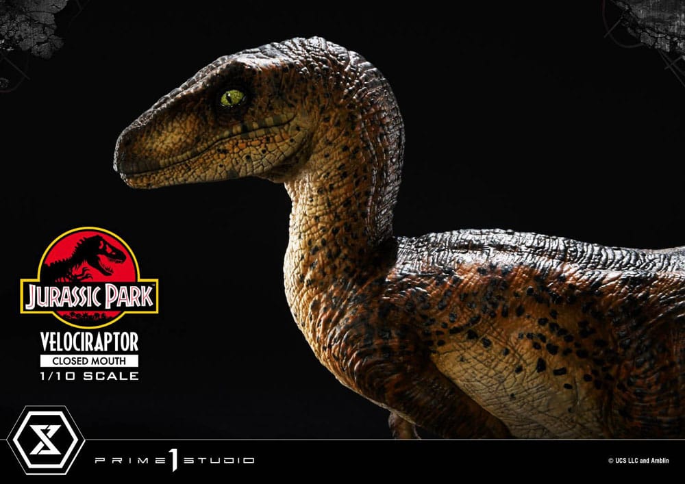 Jurassic Park statuette Prime Collectibles 1/10 Velociraptor Closed Mouth 19 cm