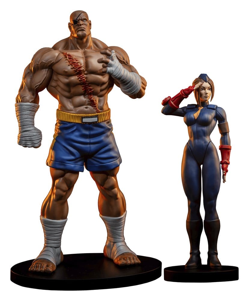 Street Fighter Street Jam statuettes 1/10 Sagat & Juli 24 cm