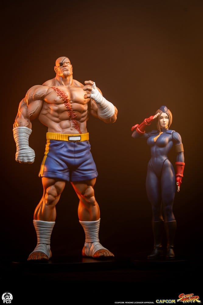 Street Fighter Street Jam statuettes 1/10 Sagat & Juli 24 cm