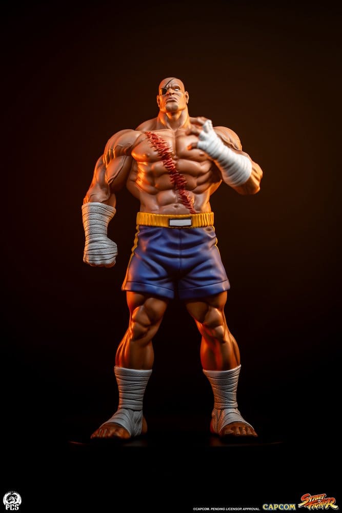 Street Fighter Street Jam statuettes 1/10 Sagat & Juli 24 cm