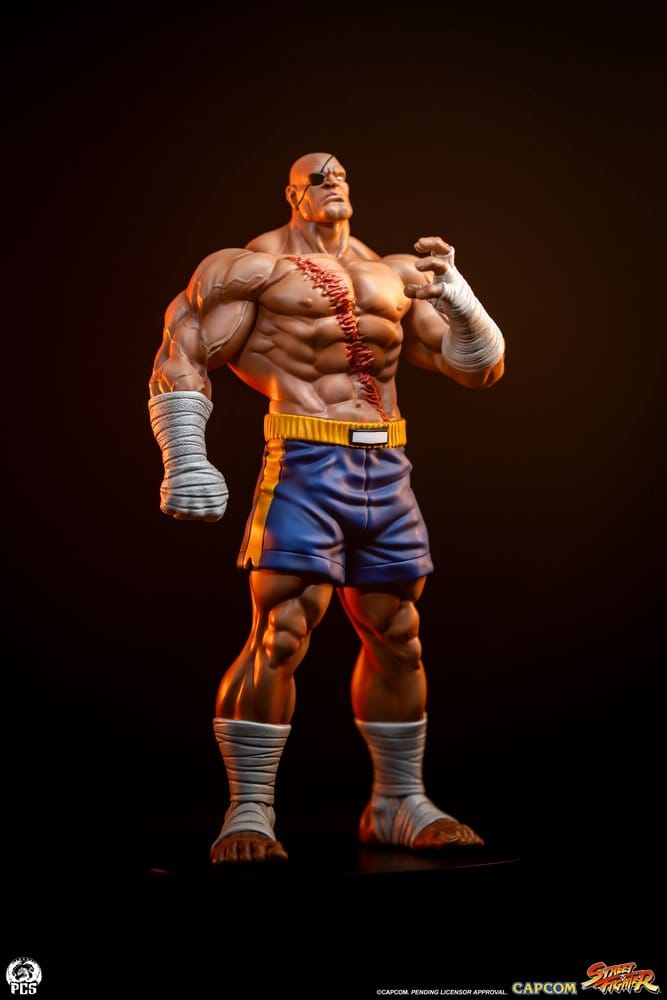Street Fighter Street Jam statuettes 1/10 Sagat & Juli 24 cm