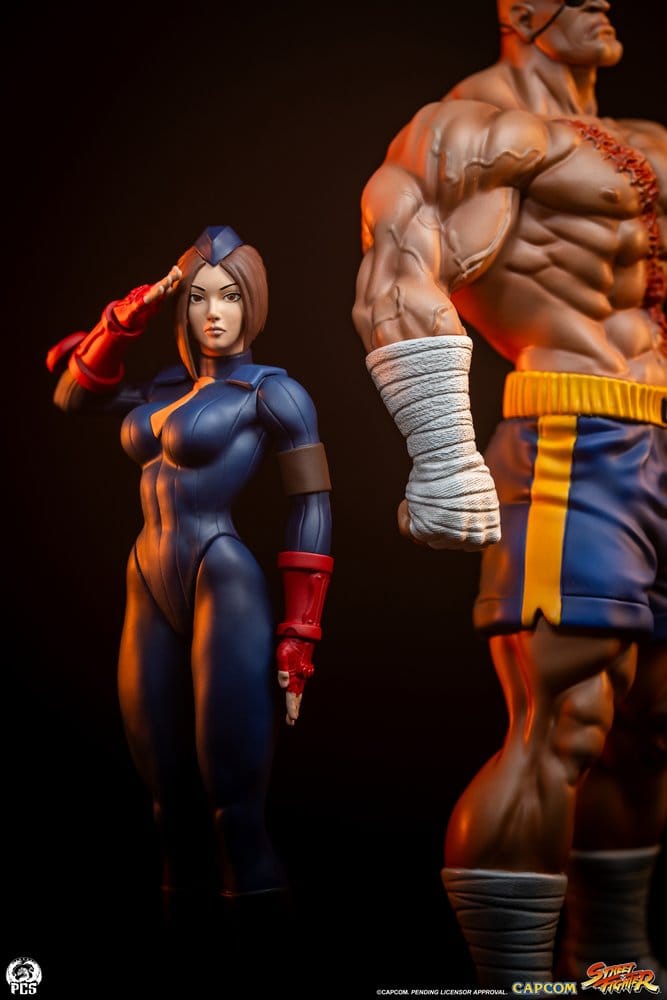 Street Fighter Street Jam statuettes 1/10 Sagat & Juli 24 cm