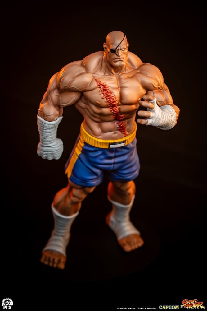 Street Fighter Street Jam statuettes 1/10 Sagat & Juli 24 cm