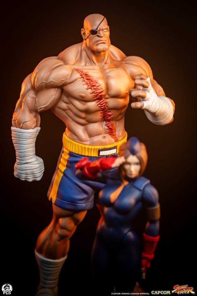 Street Fighter Street Jam statuettes 1/10 Sagat & Juli 24 cm