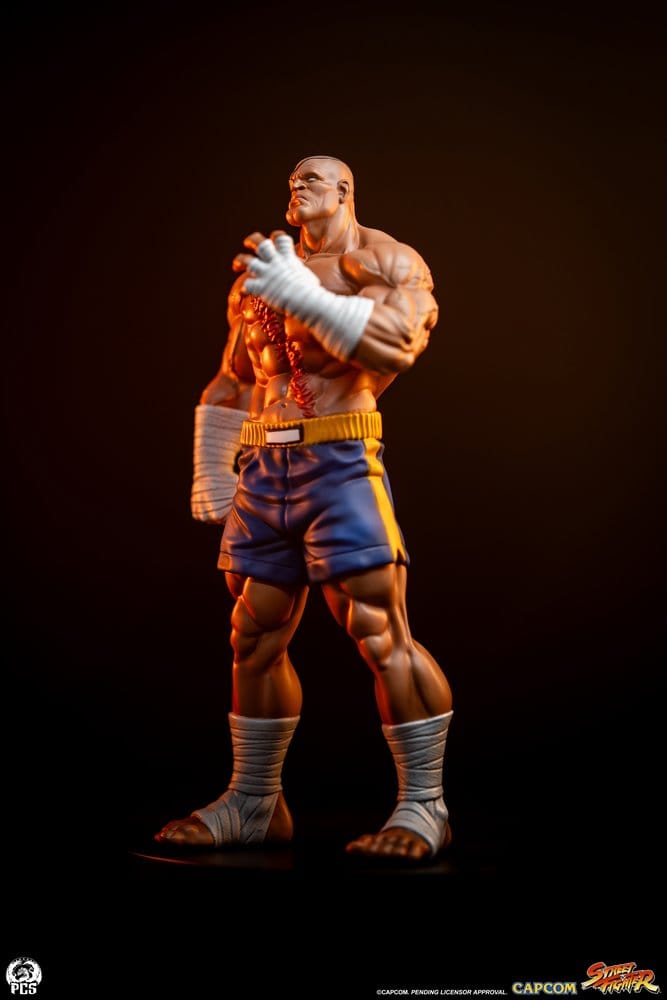 Street Fighter Street Jam statuettes 1/10 Sagat & Juli 24 cm