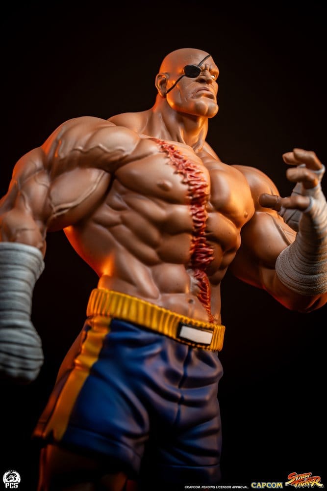Street Fighter Street Jam statuettes 1/10 Sagat & Juli 24 cm