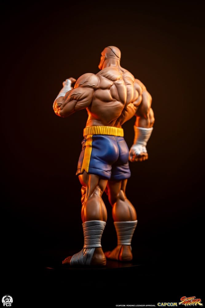 Street Fighter Street Jam statuettes 1/10 Sagat & Juli 24 cm