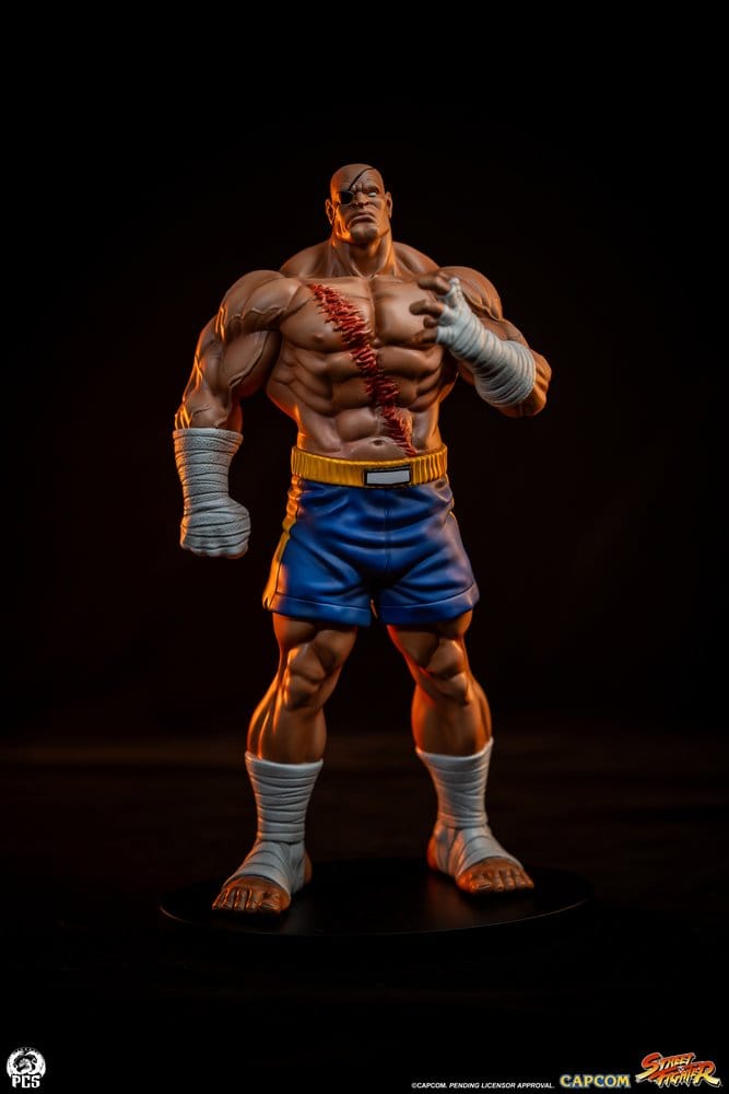 Street Fighter Street Jam statuettes 1/10 Sagat & Juli 24 cm