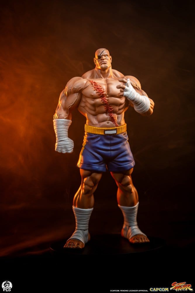 Street Fighter Street Jam statuettes 1/10 Sagat & Juli 24 cm
