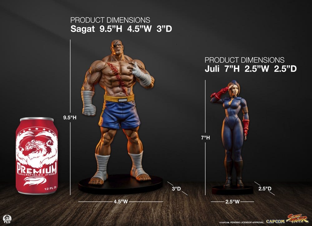 Street Fighter Street Jam statuettes 1/10 Sagat & Juli 24 cm