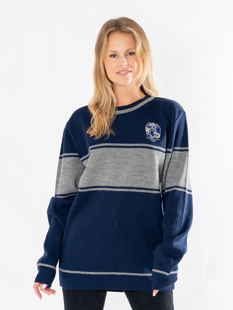 Harry Potter sweater Ravenclaw (XXL)