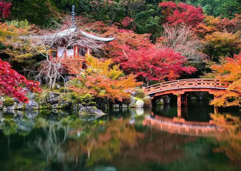Beautiful Gardens puzzle Daigo-ji, Kyoto, Japan (1000 pièces)