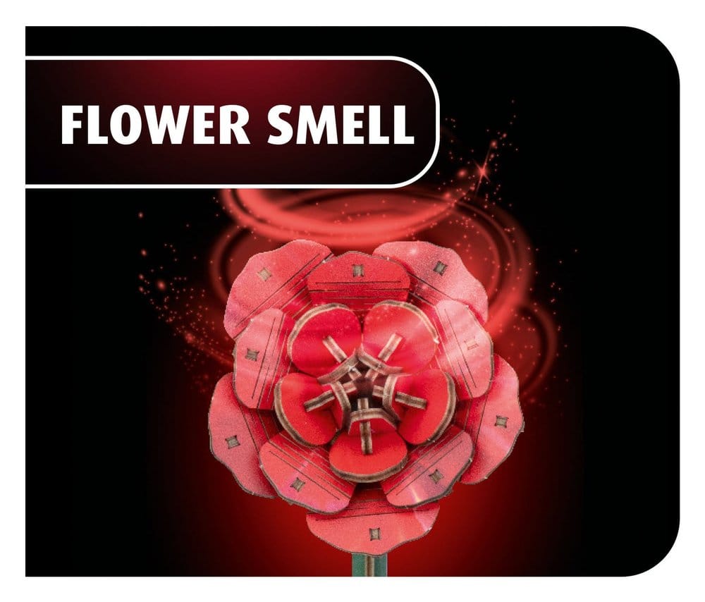 Revell Flowers fleurs en bois Dream of Roses 22 cm