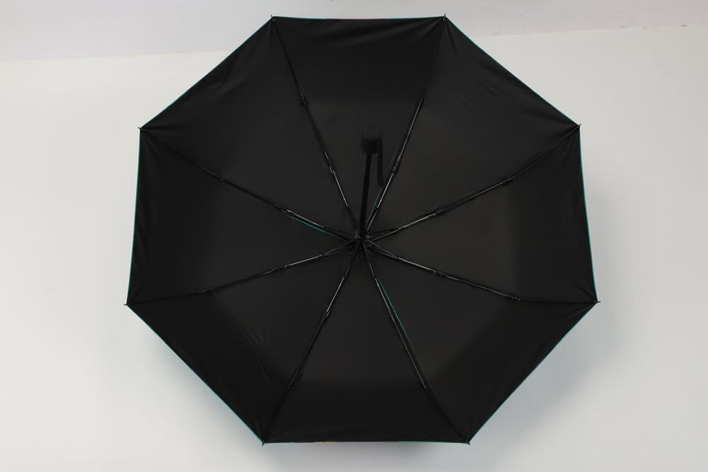 Les Carnets de l'apothicaire Parapluie