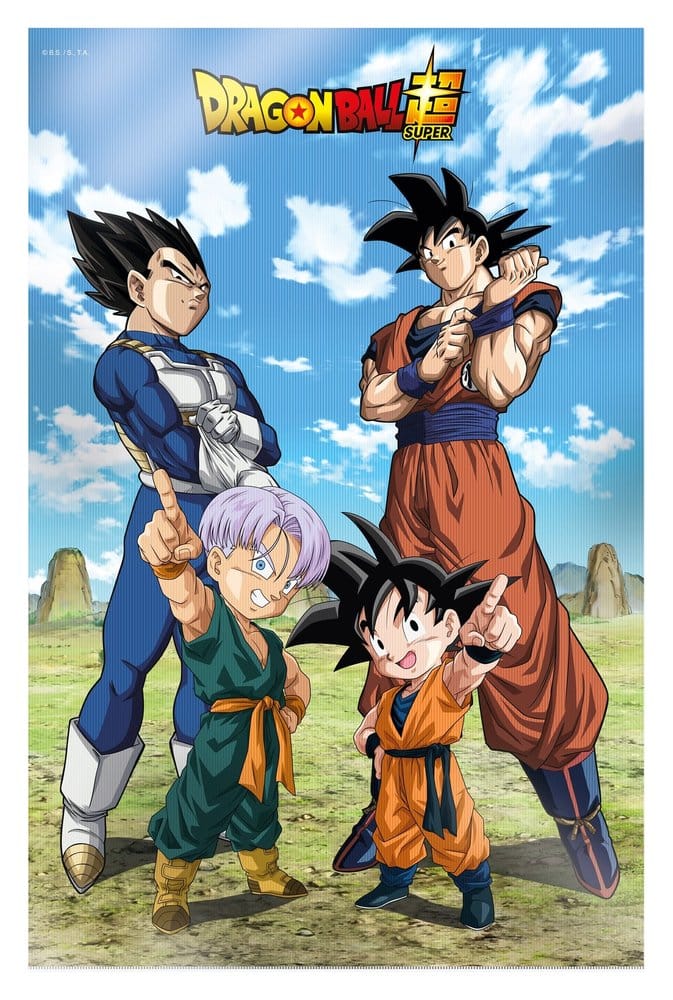 Dragon Ball Super 3D Affiche Battle of Gods Goku Vegeta Family 38 x 58 cm