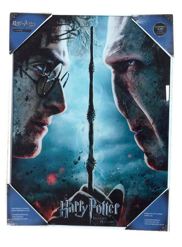 Harry Potter Affiche en verre Harry & Voldemort 30 x 40 cm
