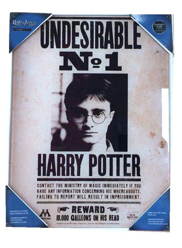 Harry Potter Affiche en verre Undesirable No. 1 30 x 40 cm