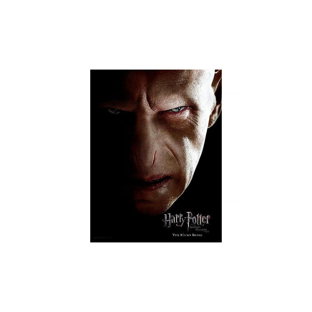 Harry Potter Affiche en verre Voldemort 30 x 40 cm