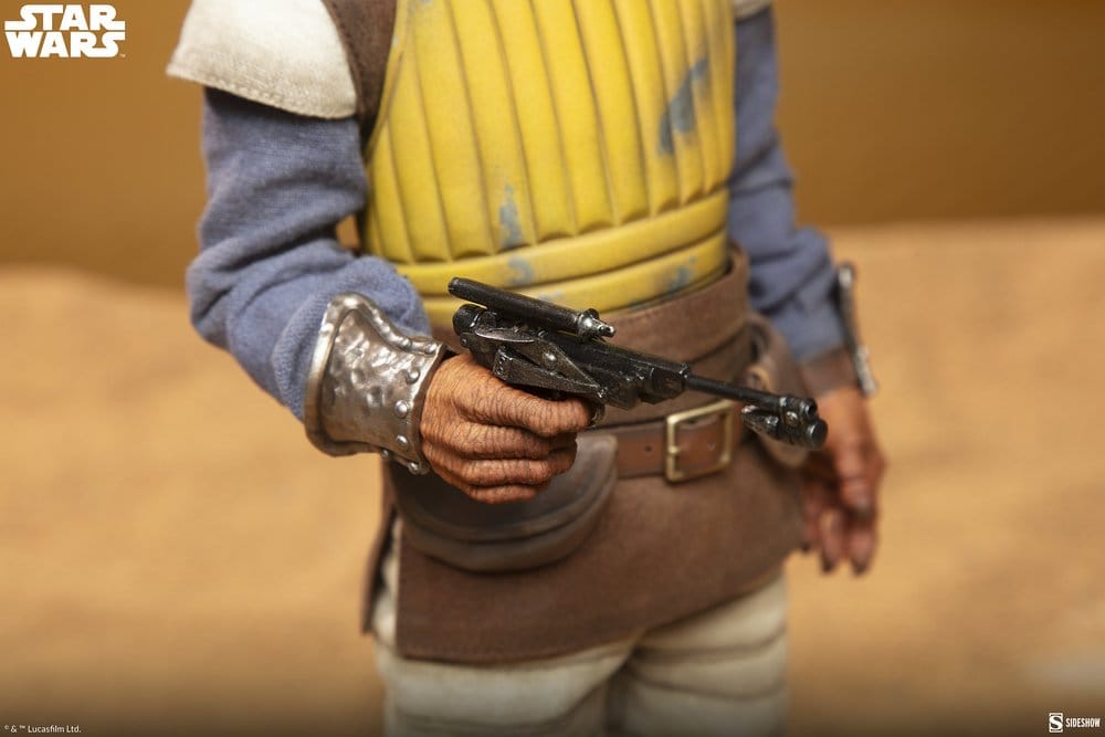 Star Wars figurine 1/6 Vizam 32 cm
