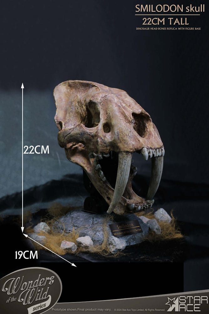 Wonders of the Wild Series statuette Smilodon Skull Fossil 22 cm