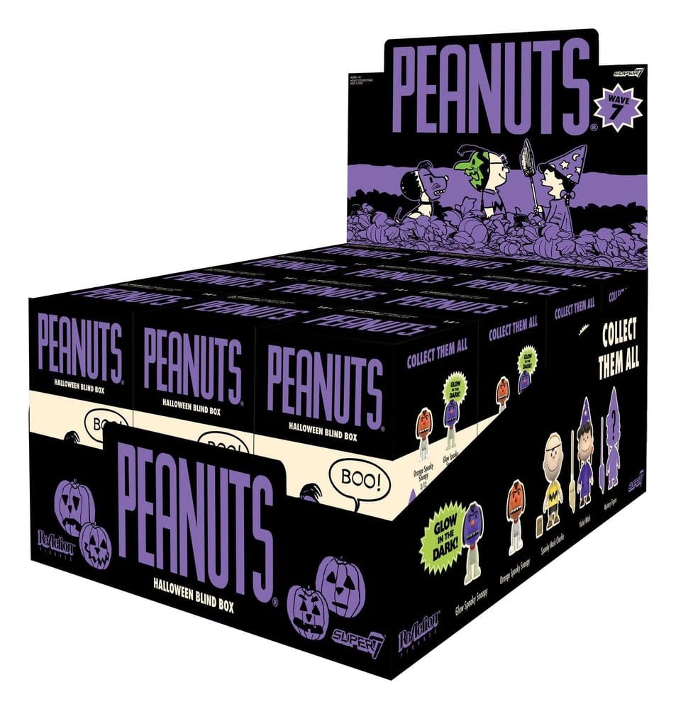 Peanuts figurine Blind Box Wave 7 Display (12)