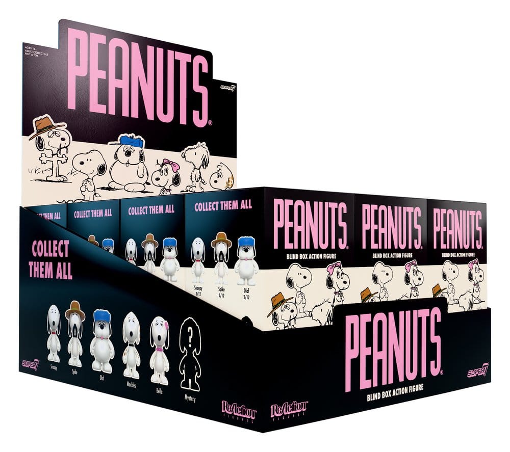 Peanuts ReAction figurines Snoopy's Siblings Wave 10 Blind Box 10 cm présentoir (12)