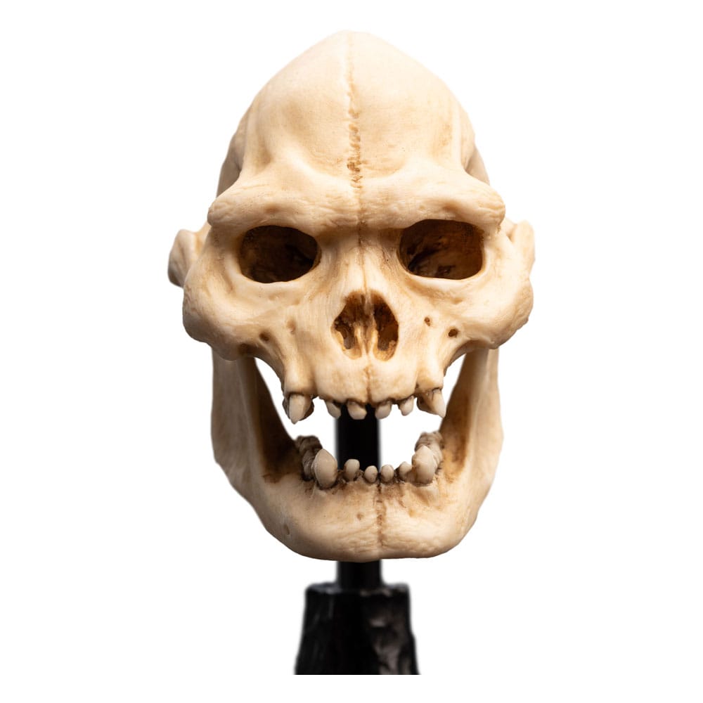 Le Seigneur des Anneaux statuette Skull of Lurtz 14 cm