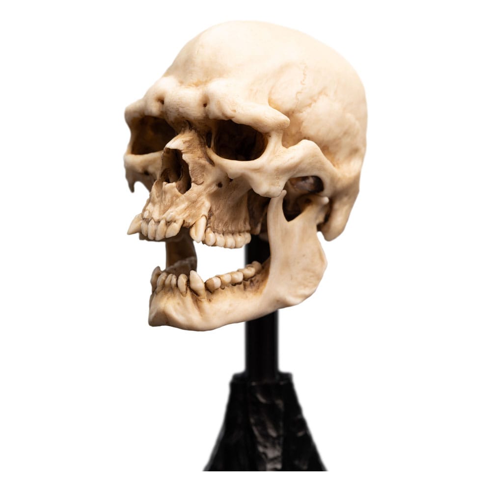 Le Seigneur des Anneaux statuette Skull of a Mordor Orc 14 cm